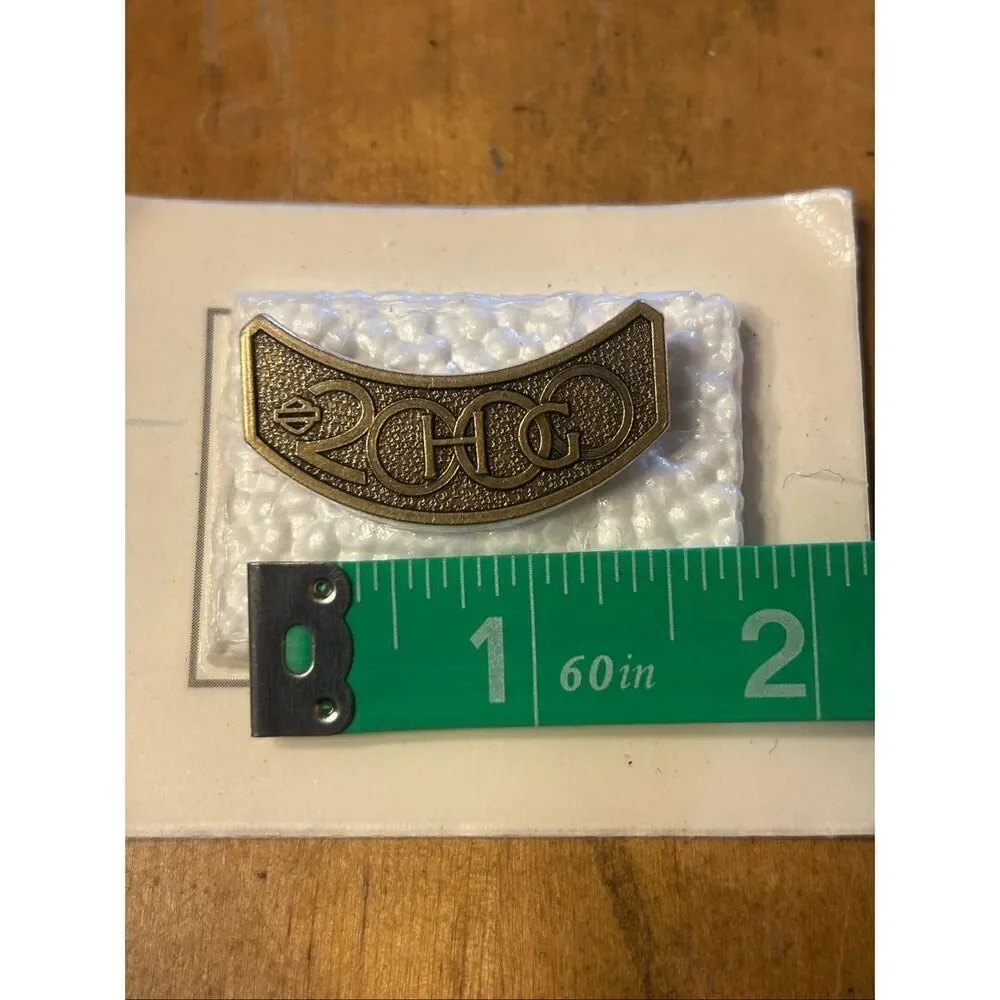 2000 Harley Davidson Owners Group Pin HOG Biker Club Motorcycle (5270)